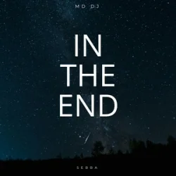 Cover MD Dj & Sebba - In The End