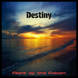 Cover Destiny (Radio edit)