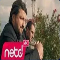 Cover Ibrahim Ateser & Hakan Gurses - Gitmeyin Yillar