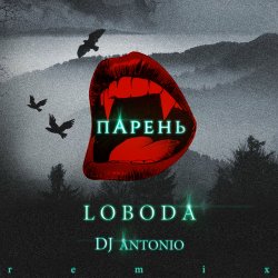 Cover Svetlana Loboda - Парень (dj Antonio remix)