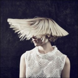 Cover Aurora - Under Stars