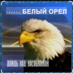 Cover Белый Орел - Дождь смывает все следы
