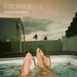 Cover Andrew Rayel & Darla Jade - Promise Me