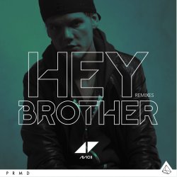 Cover Avicii - Hey Brother (Extended Version)