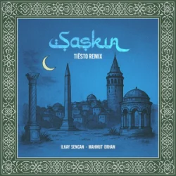 Cover Ilkay Sencan & Mahmut Orhan - Şaşkın (Tiësto Remix)