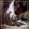 Cover Burzum - Ek Fellr (I Am Falling) Burzum - Ek Fellr (I Am Falling)