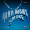 Cover Tricky Nicki & STOSLIV - Who Want Smoke? Tricky Nicki & STOSLIV - Who Want Smoke?