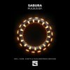 Sabura - Fukushima (Fantoo & Dual DeStress Remix)