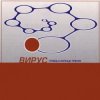 Cover Вирус - Прости скорей Вирус - Прости скорей