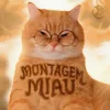 Cover Lenar & Leonardo P - Montagem Miau - Slowed Lenar & Leonardo P - Montagem Miau - Slowed
