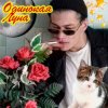 Cover ЮГ 404 - Одинокая луна ЮГ 404 - Одинокая луна
