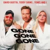 Cover David Guetta & Teddy Swims & Tones and I - Gone Gone Gone (Dj Dark Remix) David Guetta & Teddy Swims & Tones and I - Gone Gone Gone (Dj Dark Remix)