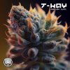 Cover T-Kay - Ganjah VIP (Original Mix) T-Kay - Ganjah VIP (Original Mix)