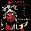 Jah Wobble & The Chinese Dub Orchestra - Dragon And Phoenix