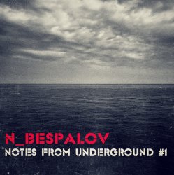 Cover N_Bespalov - Outside