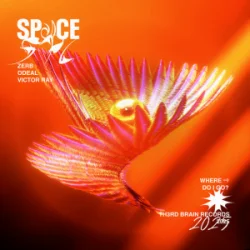 Cover Zerb & Odeal & Victor Ray - Space