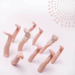 Cover PALC - Во дворе