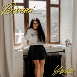 Cover YANKEE - Віражі