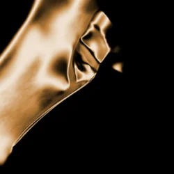Cover Claptone & Raphaella - Phantasy