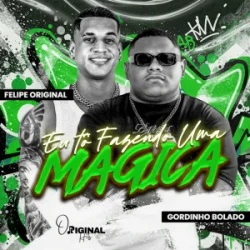 Cover Gordinho Bolado & felipe original - Eu Tô Fazendo uma Mágica