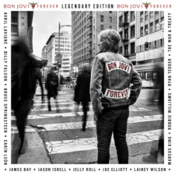 Cover Bon Jovi - We Made It Look Easy (with Robbie Williams)