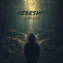 Cover Nebesnyi - ДУМАЛИ