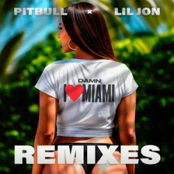 Cover Pitbull & Lil Jon - Damn I Love Miami (DJ Laz Miami Bass Remix & DJ Julian & Danny D)