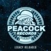 Cover Dr. Peacock & Hyrule War - Imagination (Original Mix) Dr. Peacock & Hyrule War - Imagination (Original Mix)