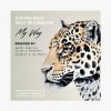 Cover Coffee Face & Sevenever - My Way Coffee Face & Sevenever - My Way
