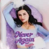 Cover Kristonko - Never again Kristonko - Never again