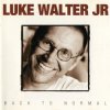 Cover Luke Walter Jr - As The Crow Flies Luke Walter Jr - As The Crow Flies