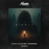 Cover D.HASH & ILYA SECHKIN & BORDERMIND - The Riddle D.HASH & ILYA SECHKIN & BORDERMIND - The Riddle