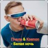 Cover Пчела & Ksenon - Белая ночь Пчела & Ksenon - Белая ночь