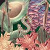 Cover Sza - Aftermath Sza - Aftermath