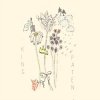 Cover Holly Henry - Citrus Holly Henry - Citrus