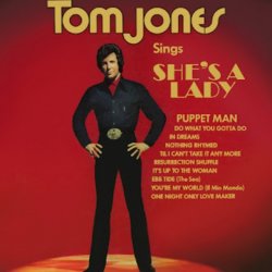 Cover Tom Jones - She's A Lady
