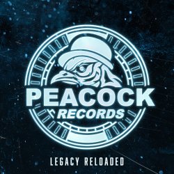 Cover Dr. Peacock & Hyrule War - Imagination (Original Mix)