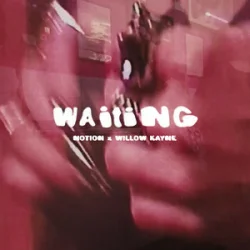 Cover NOTION & Willow Kayne - WAITING