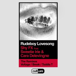 Cover Shy FX feat. Sweetie Irie and Cara Delevingne - Shy FX (Remixes)
