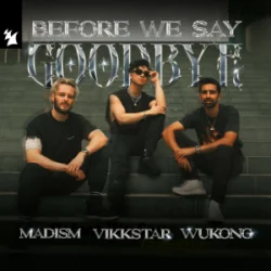 Cover Madism & Vikkstar & WUKONG - Before We Say Goodbye