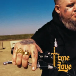 Cover Rag'n'Bone Man - Time to Love