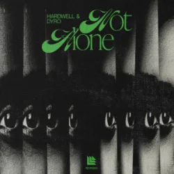 Cover Hardwell & Dyro - Not Alone