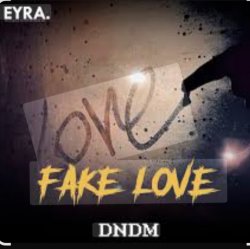 Cover DNDM - Fake Love
