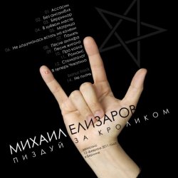 Cover Михаил Елизаров - Ассасин