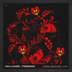 Cover Vallhard & Tornada - Paru Bochok V.I.P