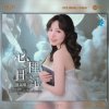 Cover Chen Shu Ying - Don't Remember the Old Dreams Chen Shu Ying - Don't Remember the Old Dreams