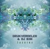Cover DJ Bim & Drukverdeler feat. Orisma - Lazarus (Original Mix) DJ Bim & Drukverdeler feat. Orisma - Lazarus (Original Mix)