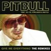 Cover Pitbull - Give Me Everything (Aizzo Remix) Pitbull - Give Me Everything (Aizzo Remix)