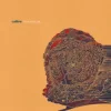 Cover Calibre - dim light Calibre - dim light