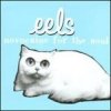 Cover Eels - Novocaine For the Soul Eels - Novocaine For the Soul